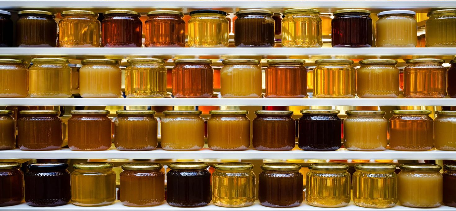 Чем отличаются разные виды мёда? Какие у них полезные свойства?