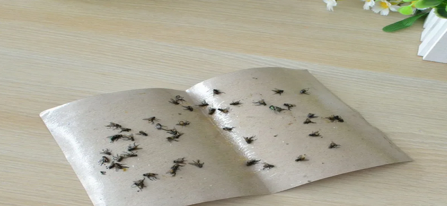 Как сделать липкую бумагу для мух?